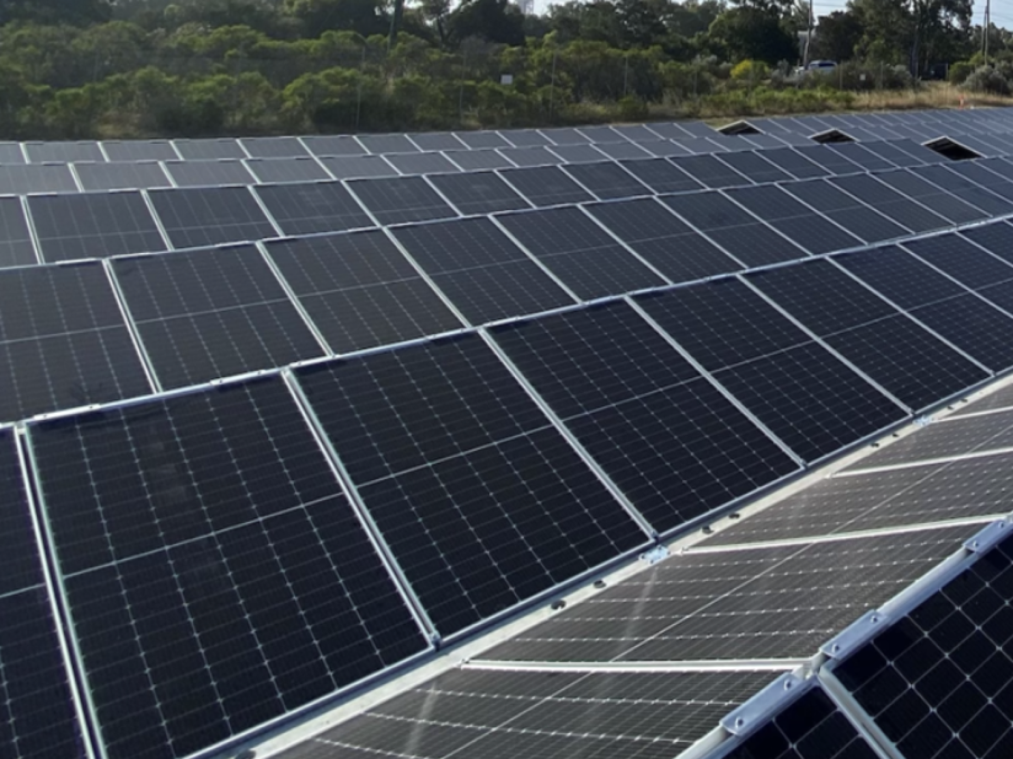 Screenshot 2025-06-19 at 3.34.35 PM